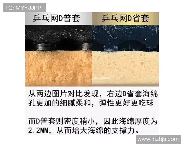 英超乒乓球装备选购指南及护具推荐全攻略